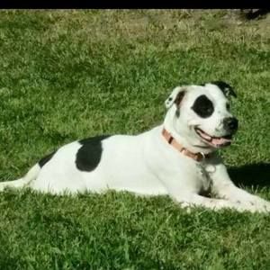 Meet your Posher, Ariel